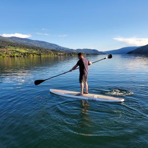 End of Season SALE 3 in 1 Adjustable Aluminum Stand up kayak style paddle for SUP / Paddle board
